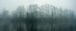 Fog on the River Boyne