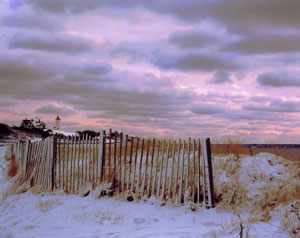 Nobska Snow Fence