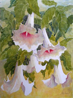 Angels Trumpets